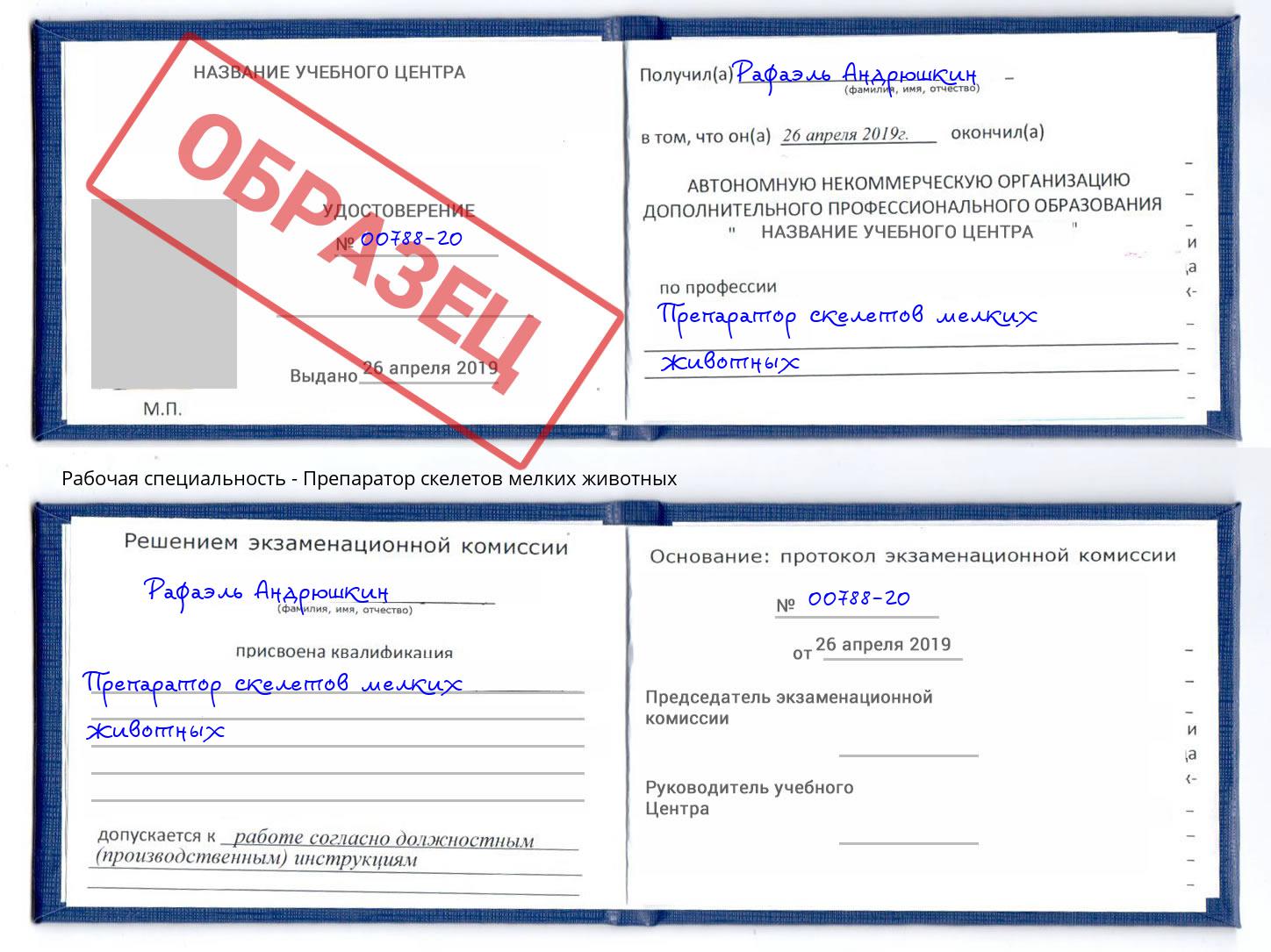 Препаратор скелетов мелких животных Орёл