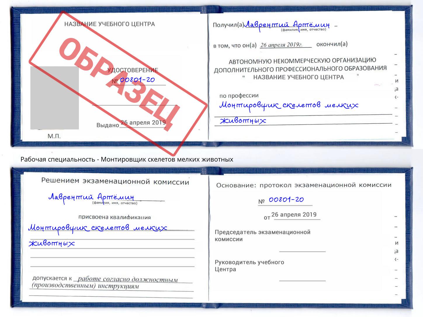 Монтировщик скелетов мелких животных Орёл