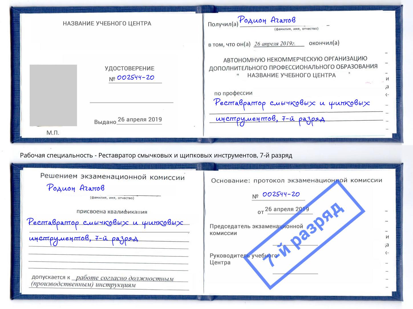 корочка 7-й разряд Реставратор смычковых и щипковых инструментов Орёл