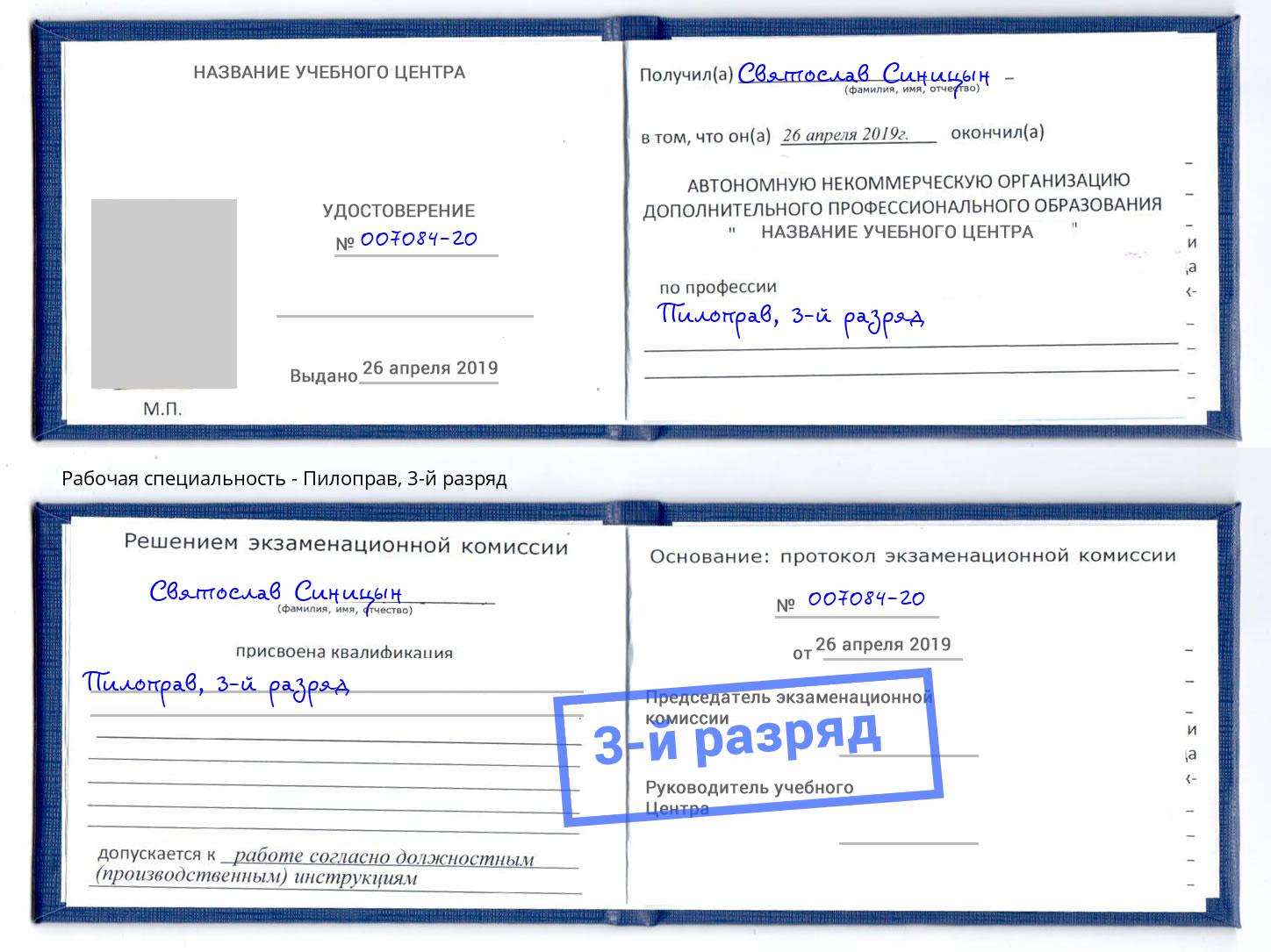 корочка 3-й разряд Пилоправ Орёл